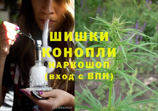 PSILOCYBIN Горно-Алтайск