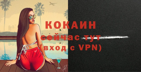 твердый Горнозаводск