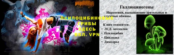 PSILOCYBIN Горно-Алтайск