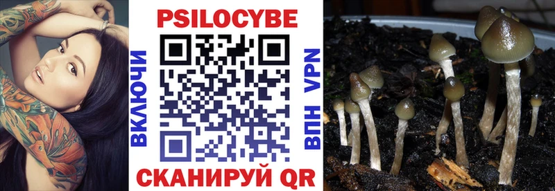 Галлюциногенные грибы GOLDEN TEACHER  Купить где  Энем 